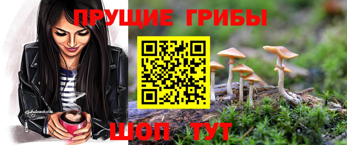 Орёл  Галлюциногенные грибы MAGIC MUSHROOMS  Вход с VPN  Псилоцибиновые грибы мухоморы 